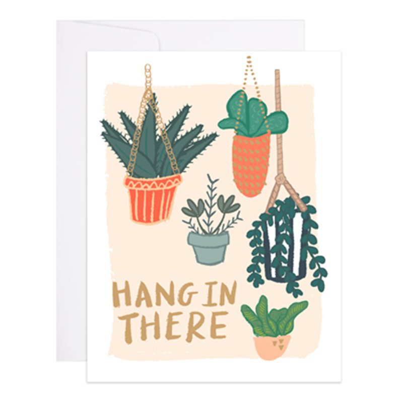 hang in there plant Hang In There Plants