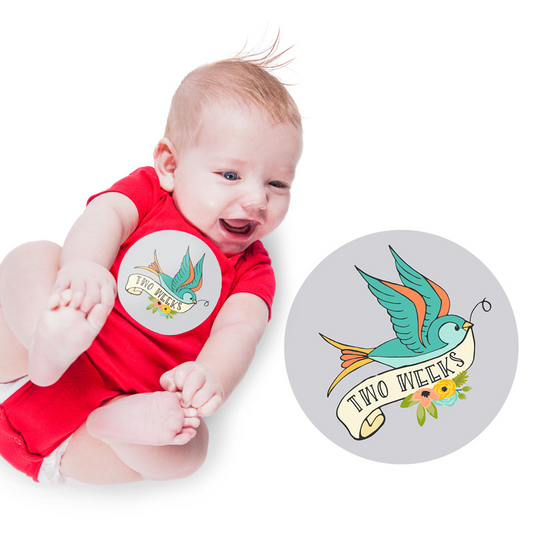 Tattoo Monthly Baby Stickers